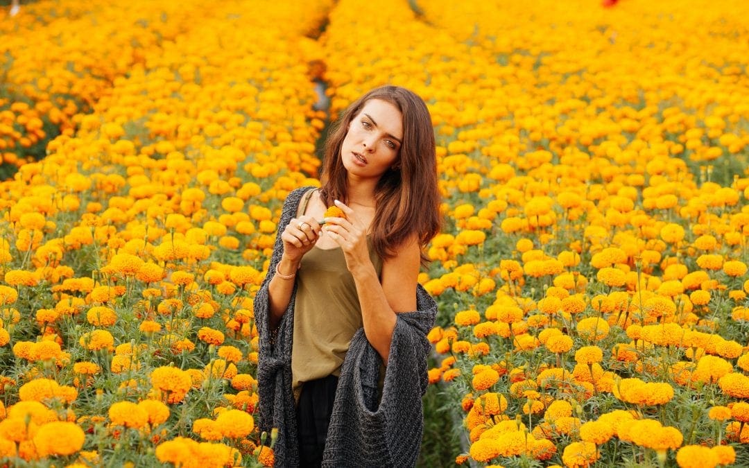 ALCHEMY for Shannon Valente