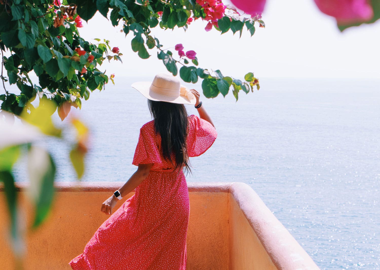Red-Hibiscus---72