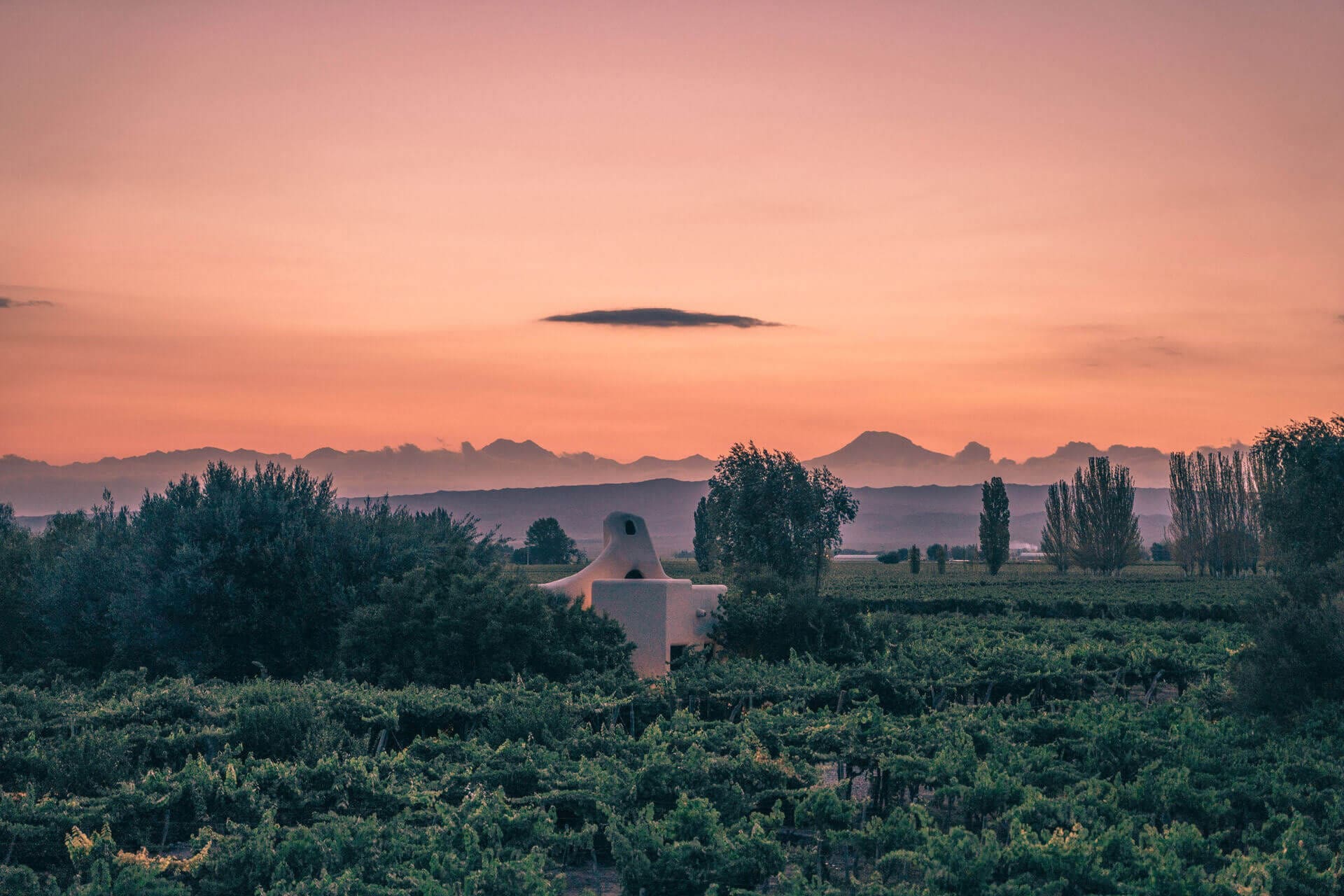 Google Ads Tips for Hotels & Surf Travel Brands